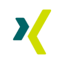 Xing-德国社媒平台，和Linkedin类似
